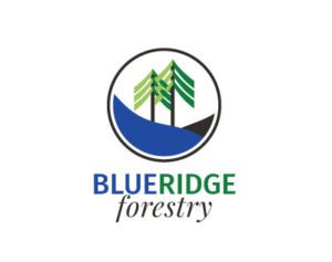 Blue Ridge Forestry Logo